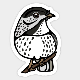 Blackpoll Warbler Graphic Sticker